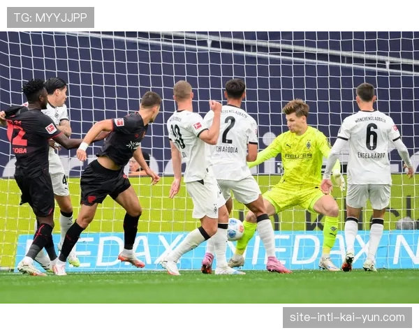 霍芬海姆遭遇四轮不胜滑落降级区 攻守失衡问题突出